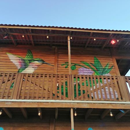 엘 쿠요 Cabana Colibri A 50 Metros De La Playa 아파트 외부 사진