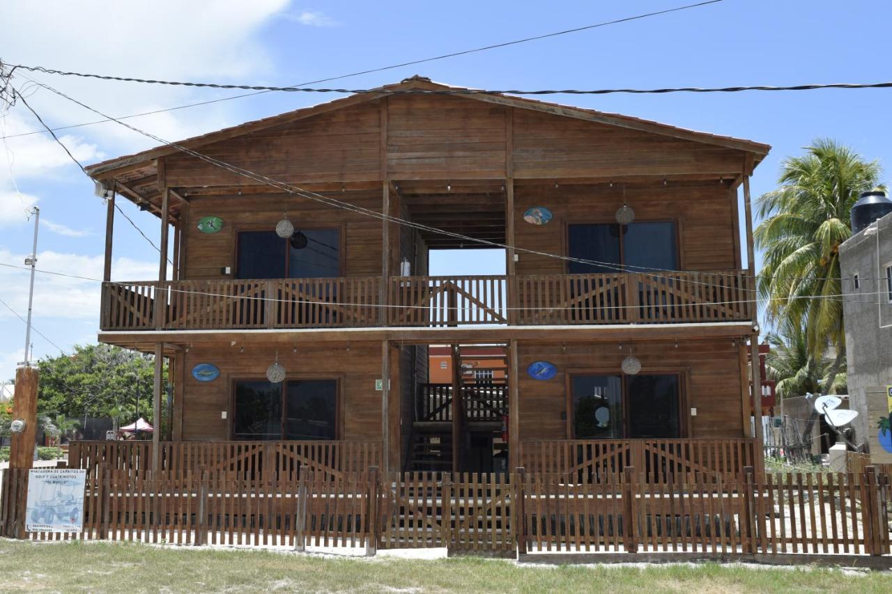 엘 쿠요 Cabana Colibri A 50 Metros De La Playa 아파트 외부 사진