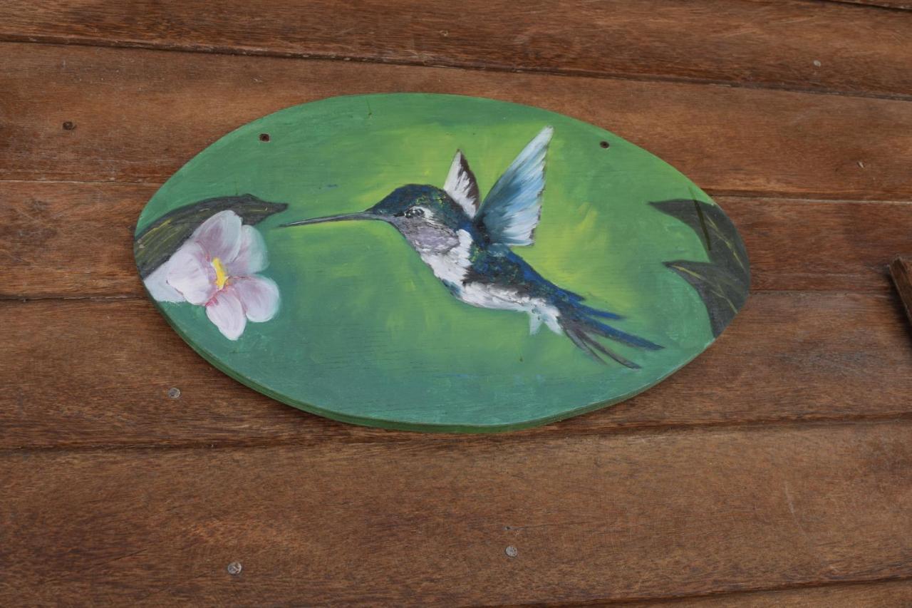 엘 쿠요 Cabana Colibri A 50 Metros De La Playa 아파트 외부 사진