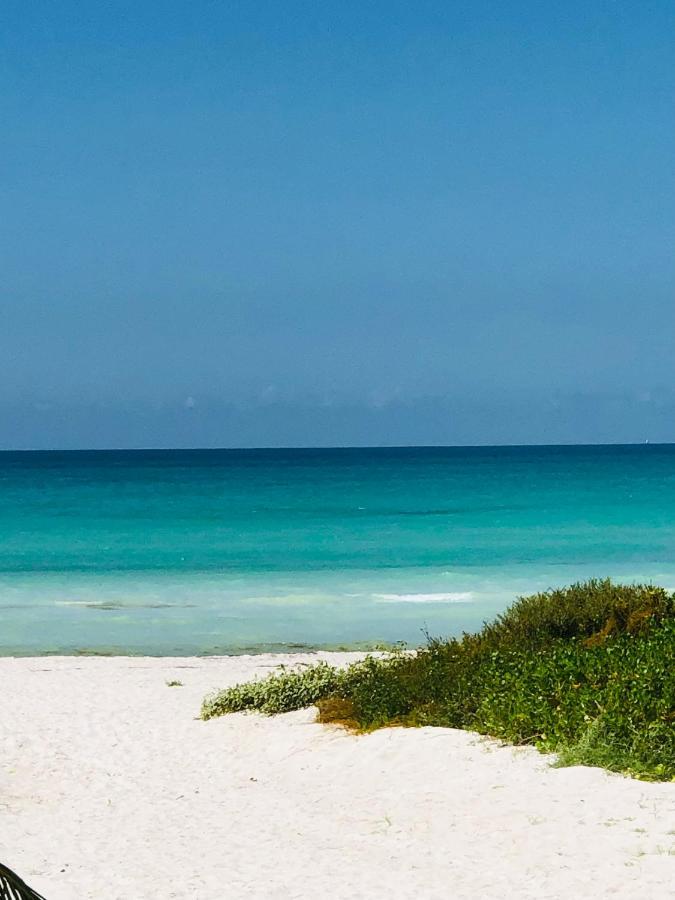 엘 쿠요 Cabana Colibri A 50 Metros De La Playa 아파트 외부 사진