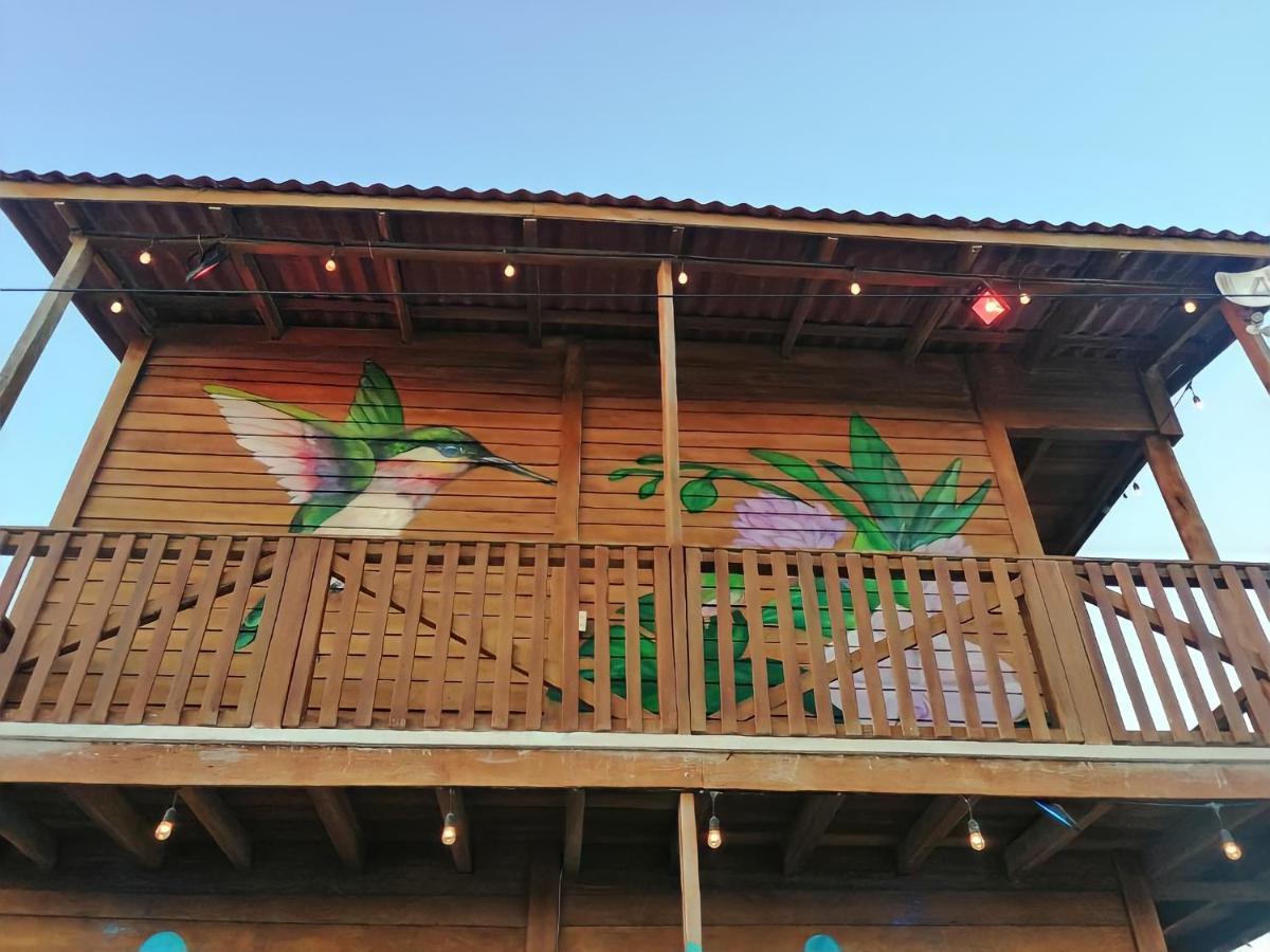 엘 쿠요 Cabana Colibri A 50 Metros De La Playa 아파트 외부 사진